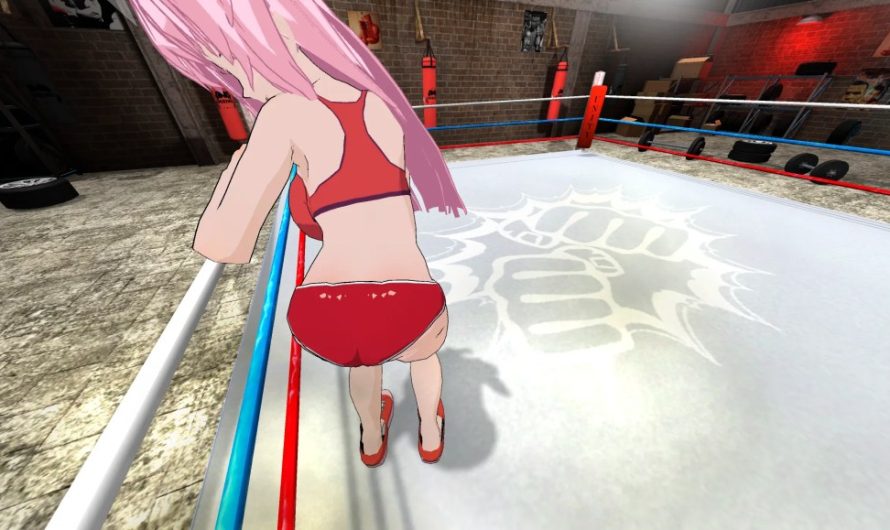 Hentai Fighters VR [v1.2.0] By muhuhu